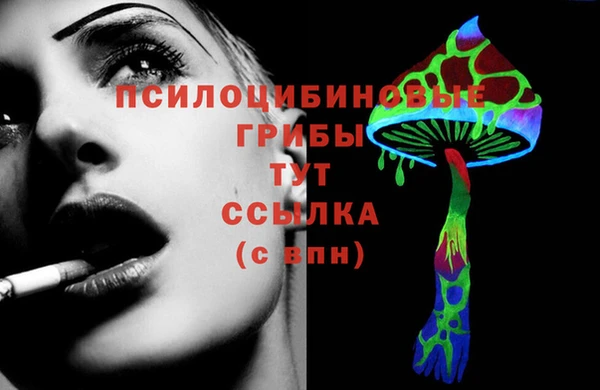 jwh Гусиноозёрск