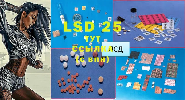 2c-b Гусев