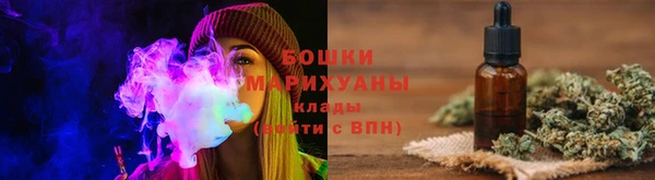 винт Гусь-Хрустальный