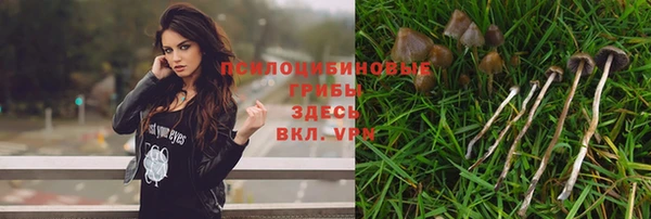 jwh Гусиноозёрск